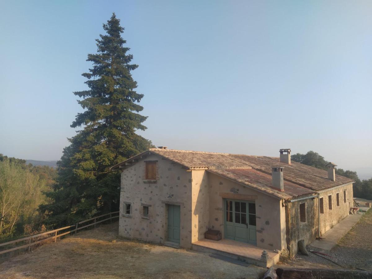 La Caseta De El Llancis Santa María de Corcó Eksteriør bilde